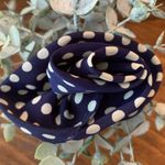 Vintage Navy Bow with White Polka Dots Blue Photo 0