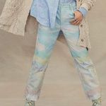 Free People  Maggie Scenic Jeans  in Multi size 25 NWT Photo 0