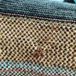 Billabong Dream Chaser Aztec Print
Fringe Hem Cardigan Size Small Photo 8