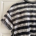 ZARA  Lace Striped Whimsigoth Flower Pattern Short Sleeve Top Size Small Photo 1