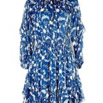 Ulla Johnson Alissa Blue Floral Ruffle Silk Chiffon Dress Size 2 Sheer Lined Photo 0