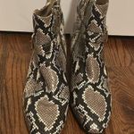 Talbots  DAKOTA BUCKLE ANKLE BOOTS - PYTHON EMBOSSED LEATHER SIZE 8.5 New w/o Box Photo 1
