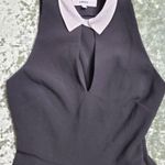 Likely Fit & Flare White Collar Black Dress Photo 3