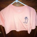 Urban Outfitters UO Katin peach pink Cropped Palm tree embroidered tee Sz Sm Photo 0