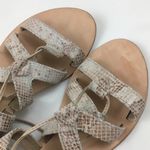 Free People  Snakeskin Mid Gladiator Lace-Up Nude Sandals Size 37 Photo 7