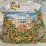 Allison Daley Womens Embellished Colorful Shirt Top Tuscan Village New 2X Blue Photo 3