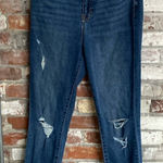 Harper Heritage  Ripped Medium Wash High Rise Skinny Jeans Size 30 Photo 0