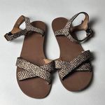 J.Crew  Women's Animal Print Ankle Strap Sandals Sz 8 Photo 0