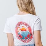 Volcom Stone Graphic Tee Photo 0