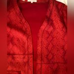 Solitaire  XL faux suede snake print long jacket Photo 10