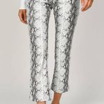 Tobi Snake Print Pants Photo 0