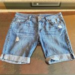 American Rag  Denim Jean Shorts Photo 0