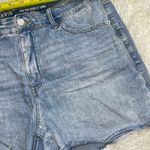 Torrid  5'' High-Rise Rhinestone Short Blue Size 14 Photo 2