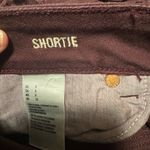 American Eagle  Outfitters Brown Jean Shorts Distressed Cut-Off Photo 3