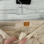 Pilcro and the Letterpress  STET Ombre Dip Dye Skinny Jeans Photo 4