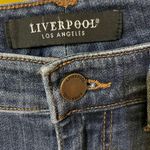 Liverpool  Dark Blue Skinny Jeans Photo 1