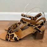 J.Crew  Leopard Calf Hair Strap Chunky Heeled Sandals Photo 3