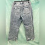 Vervet  Distressed Denim 31 Photo 4