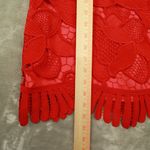 Lovers + Friends Sleeveless Red Lace Caspian Mini Dress REVOLVE size Small Photo 6