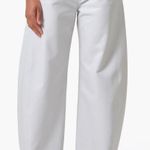 AGOLDE NWT Luna High Waist Barrel Leg Leather Blend Pants in Wisp Sz 29 $348 Photo 0