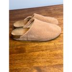 Splendid  Casey Shearling Clogs Mules Photo 2