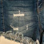 Wax Jean Wax Jeans Los Angeles Distressed Denim Shorts with Floral Embroidery Photo 4