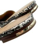Yosi Samra Parker Mules Gray Snake Embossed Leather Open Back Flats Size 7 Black Photo 12
