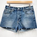 Boyish Cody High Rise Cut Off Rigid Denim Shorts size 29 Photo 0