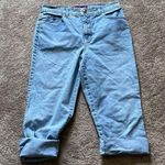 Gloria Vanderbilt  Capris SIZE 10 Photo 0