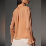 Anthropologie NEW WOMENS  Sheer Blouse in Terracotta Medium Photo 2
