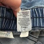 Terra & Sky  Stretch Skinny Jeans Elastic Back Panel Blue 1X 16W-18W Photo 5