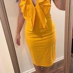 Cushnie et Ochs  marigold butterfly dress Photo 0