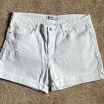 Just Black  White Demin Shorts. Size 29 Photo 0