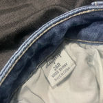 Daytrip  Blue Skinny Jeans with Vintage Distress Photo 3