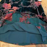 Max Studio  Velvet Burnout Woodland Fairy Babydoll Tiered Flutter Slv Green M Photo 5