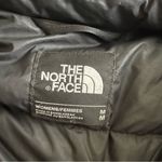 The North Face  Dunagiri Down Parka Coat Jacket Photo 2