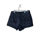 American Eagle  Distressed Mom Shorts Size 10 Photo 4