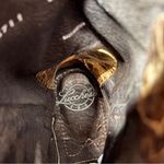 Lucchese  Women’s Heeled Boots Autumn Dry Leaf Leather Western Cowgirl M5711 8B Photo 11