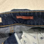 Pilcro anthropologie  boyfriend jeans size 28 Photo 2