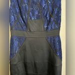 JAX Navy Black Sequin Lace Structured Cap Sleeve Knee Length Cocktail Dress 10 Blue Photo 5