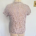 French Pastry  Blush Pink Sheer Lace New York Short Sleeve Top Size 3X Photo 3