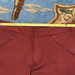 Antonio Melani burgundy pants Photo 11
