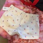 Chubbies American Flag Shorts Photo 2