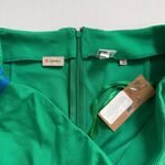 Daniel Cremieux  Green Blue Stripe Skirt Size 12 NWT Photo 4