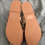 Matisse Footwear Matisse Whistler leopard Criss Cross Sandals 10 Photo 5