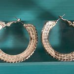 Wedding Bridal Formal Prom Rhinestone and Silver Hoop Earrings Photo 4