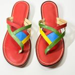 Bernardo  Multicolor Leather Thong Sandals Size 10 Slip On Flat Strappy Rainbow Photo 0