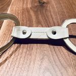 Metal Loops Novelty Belt Silver Photo 5