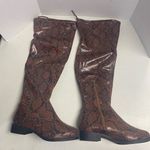 SHOEDAZZLE Women’s Knee Boots Reena Snake Design Beown Size 8 Zipper Closure NEW Brown Photo 8