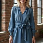 Cloth & Stone  Ruffle Neck Mini Dress Photo 0
